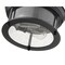 Z-Lite Sonna 2 Light Flush Mount, Matte Black And Clear Seedy 727F10-MB - alternate 6